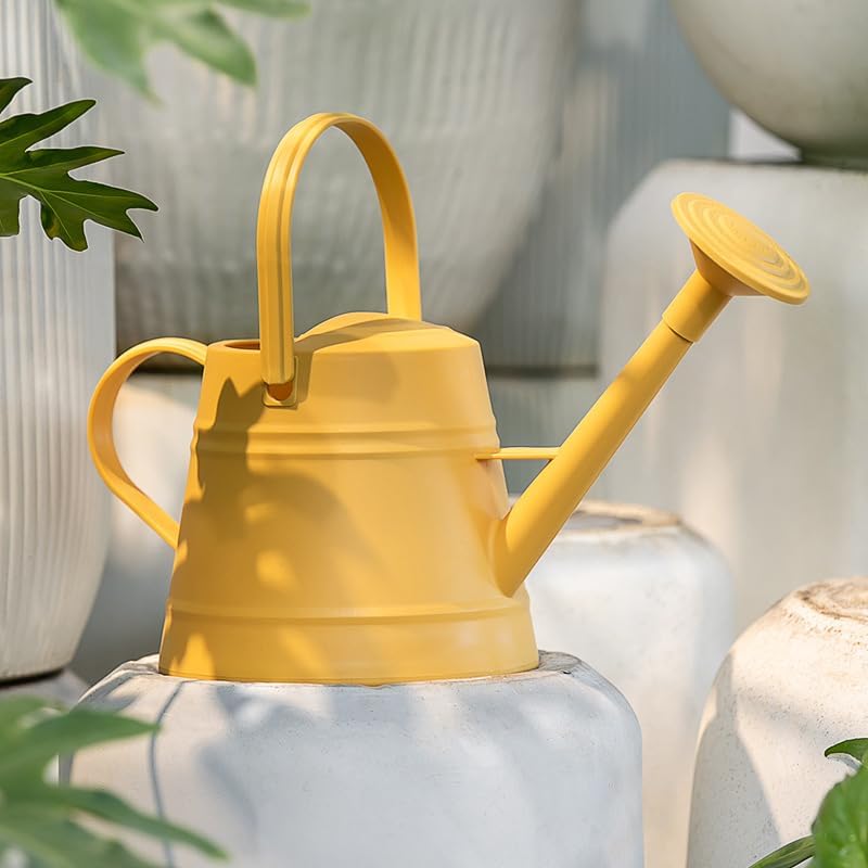 1 Gallon Watering Can for Plants