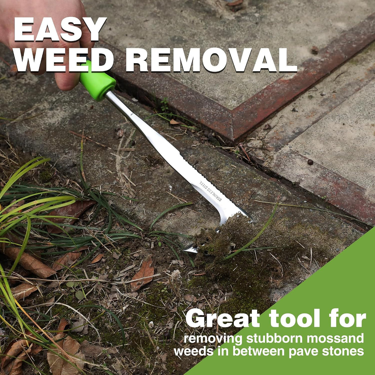 Crack Weeder, 12" Stainless Steel Crevice Weeding Tool with Ash Wooden Handle