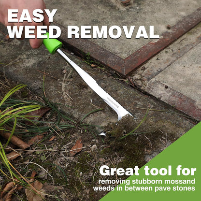 Crack Weeder, 12" Stainless Steel Crevice Weeding Tool with Ash Wooden Handle