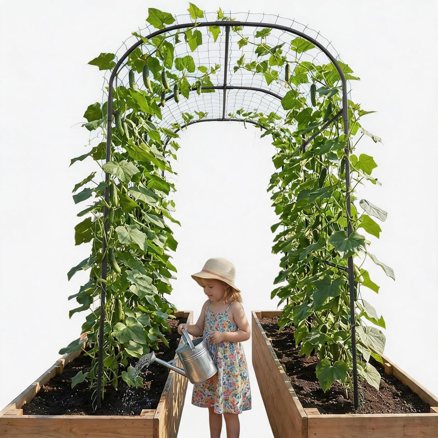 Garden Arch Trellis, 87in H x 75in L Tall Garden Archway