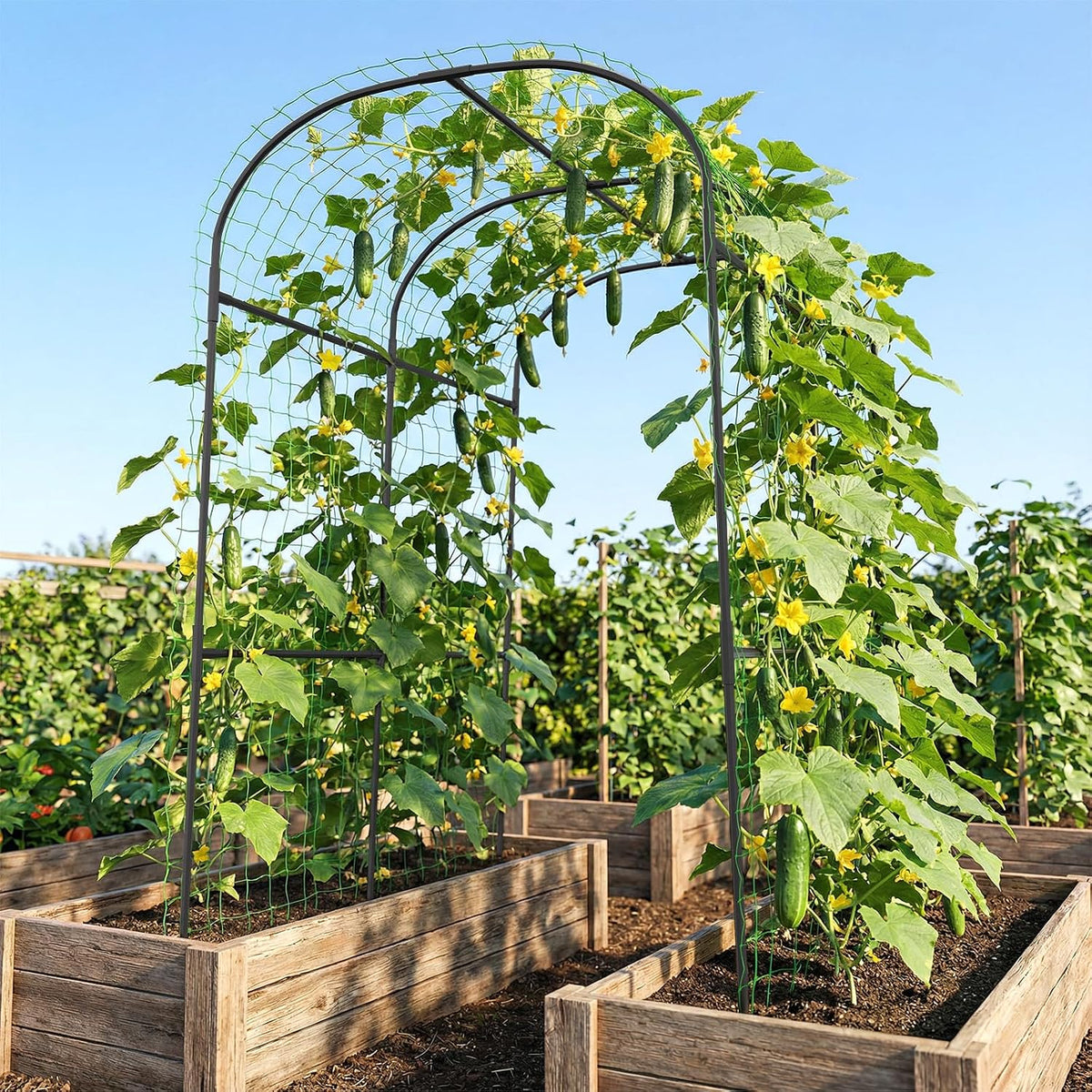 Garden Arch Trellis, 87in H x 75in L Tall Garden Archway