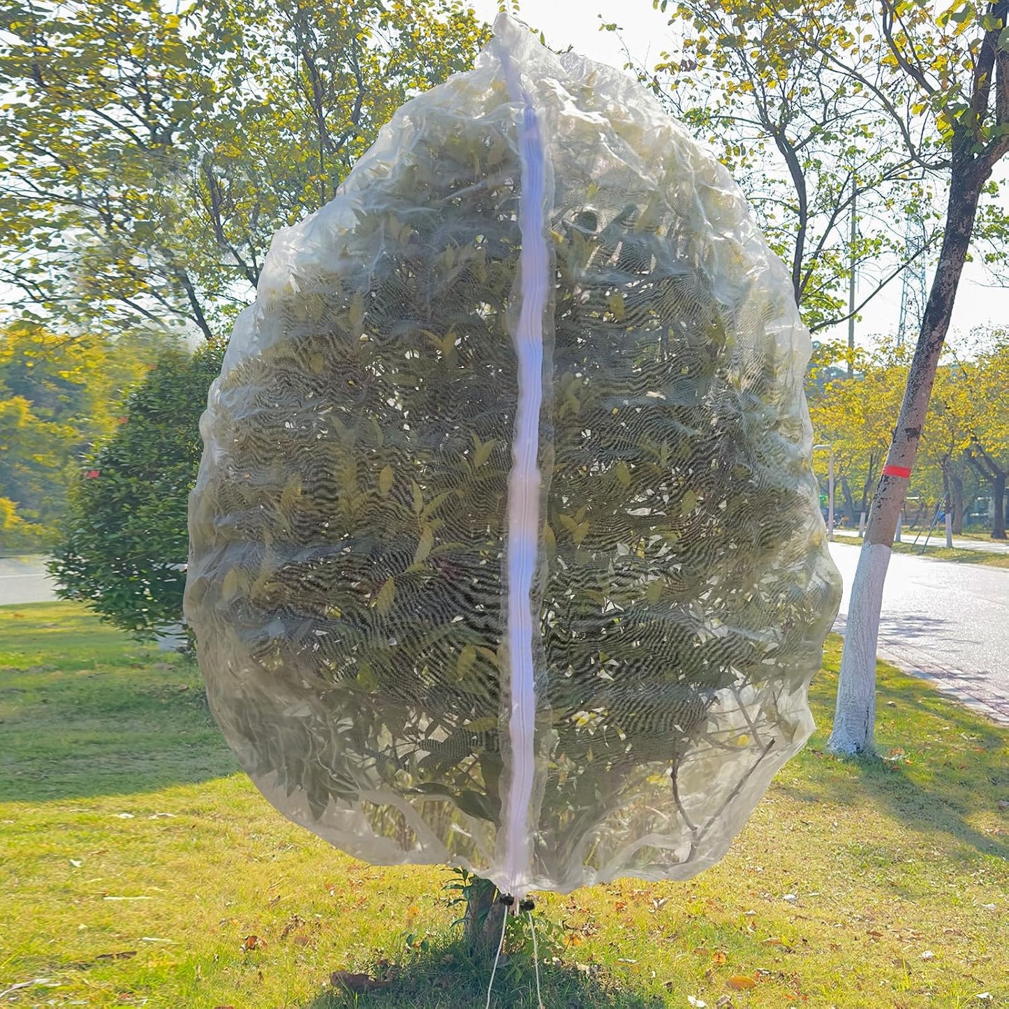 2 Pack 10x10 FT Fruit Tree Netting Apple Blueberry Zipper Drawstring