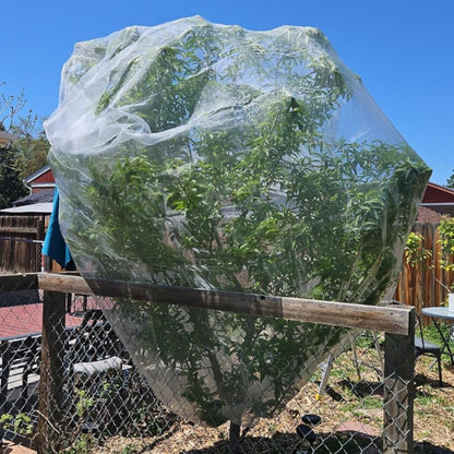 2 Pack 10x10 FT Fruit Tree Netting Apple Blueberry Zipper Drawstring