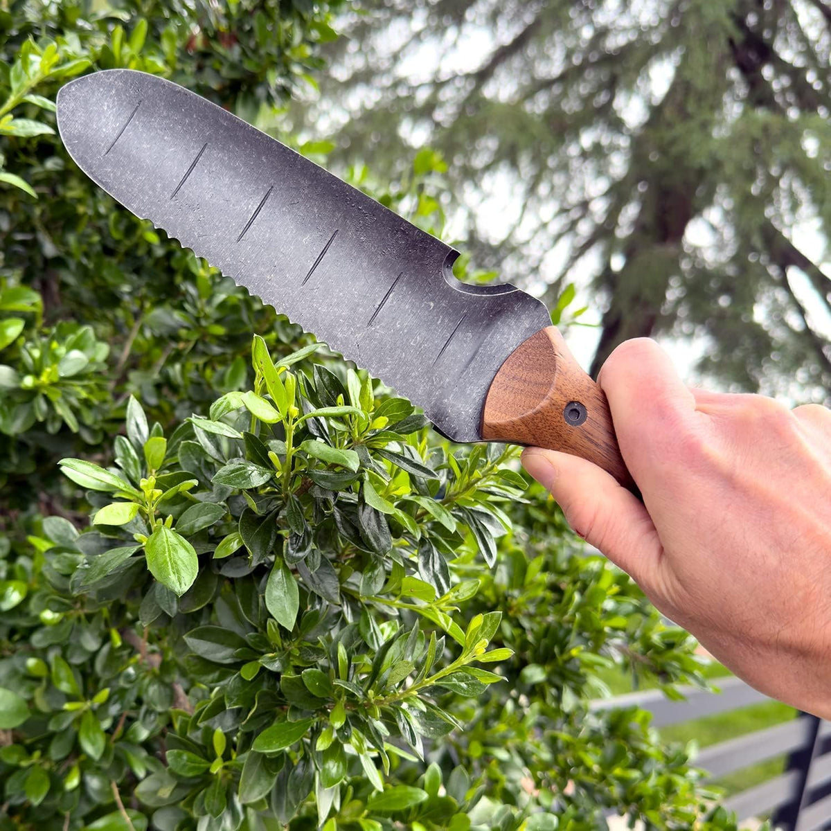 Hori Hori Gardening Knife for Weeding, Digging, Pruning, and Cultivating - Stainless Steel Full Tang Blade | Marks for Measuring Planting Depth