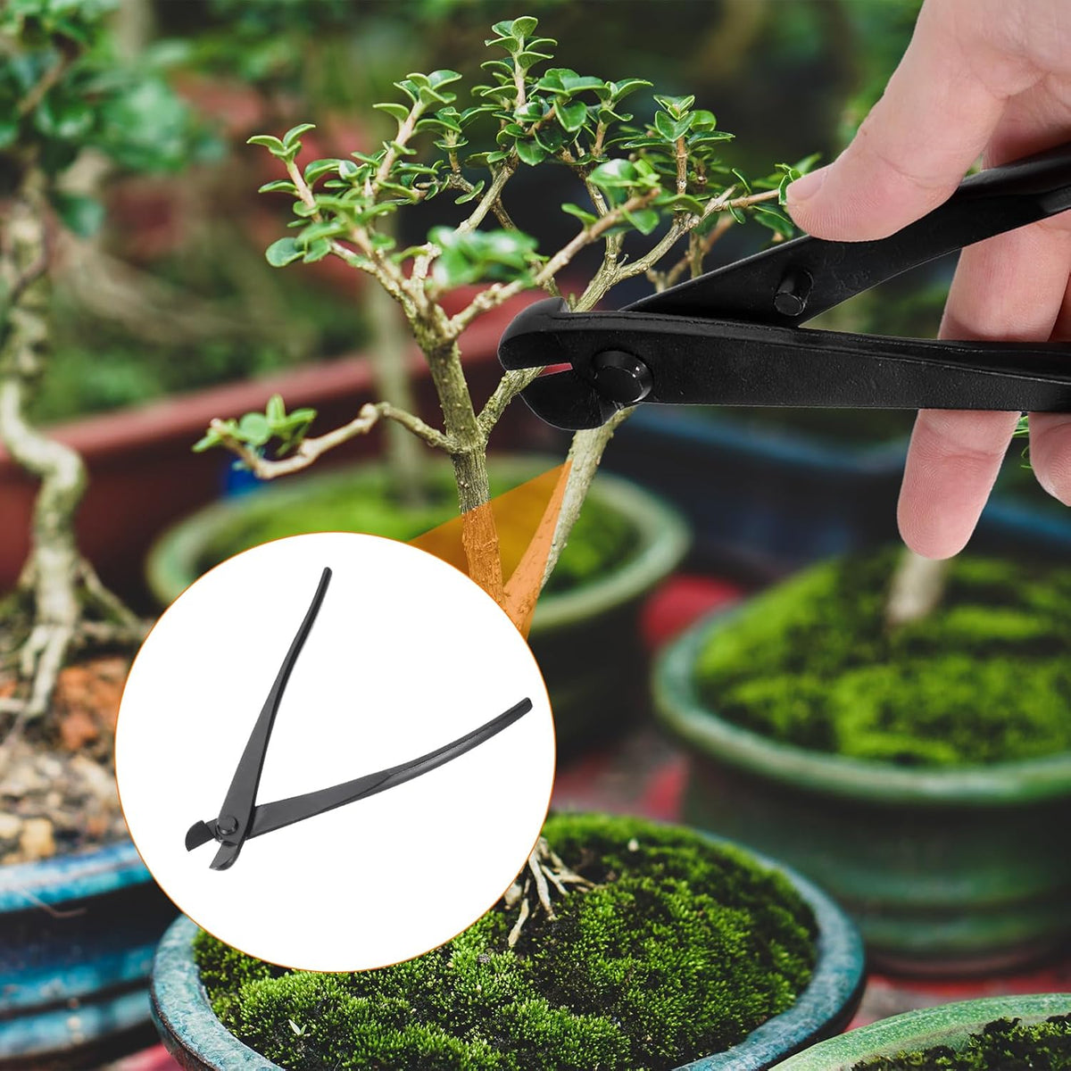 Bonsai Wire Scissors 8.1 Inch 205mm Bonsai Tool Branch Wire Cutter Branch Cutter, Black