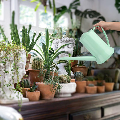 Small Watering Can, 67oz (1/2 Gallon) Indoor Houseplants Green