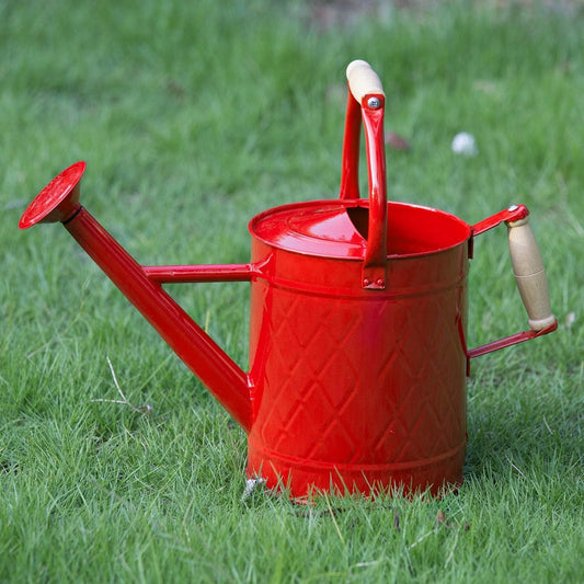 1 Gallon Red Metal Watering Can, Removable Spout