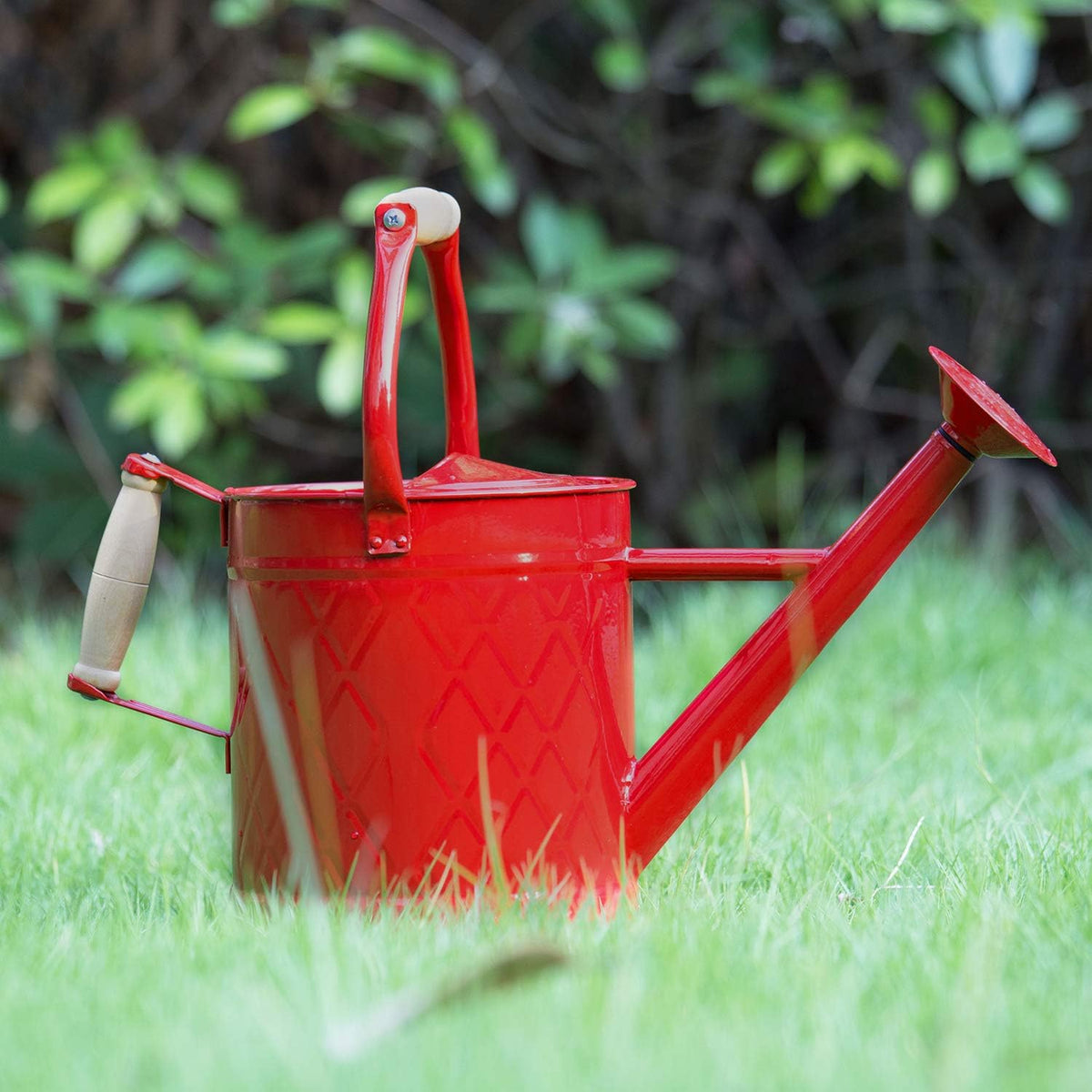 1 Gallon Red Metal Watering Can, Removable Spout