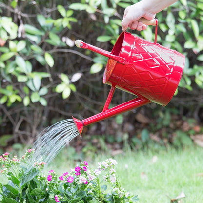 1 Gallon Red Metal Watering Can, Removable Spout