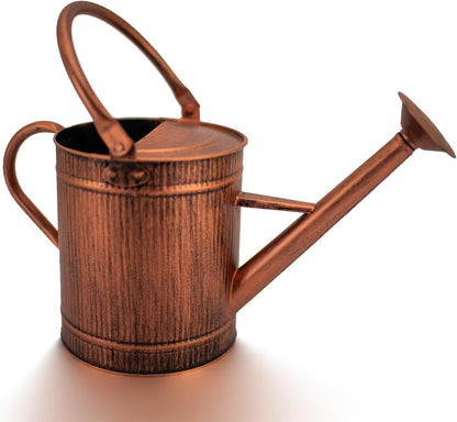 1 Gallon Red Metal Watering Can, Removable Spout