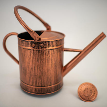 1 Gallon Red Metal Watering Can, Removable Spout