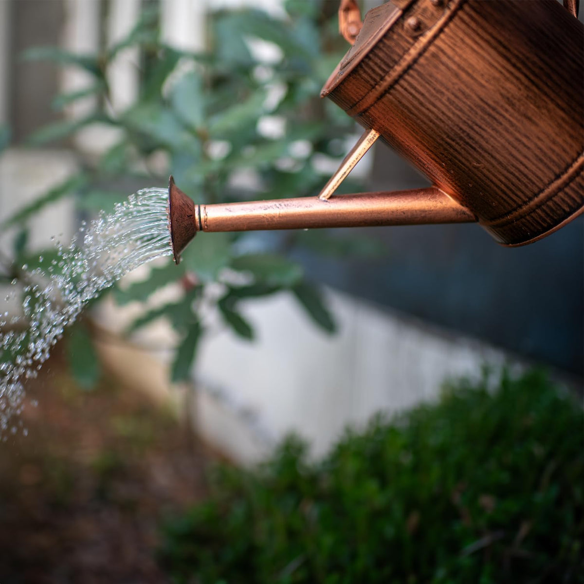 1 Gallon Red Metal Watering Can, Removable Spout