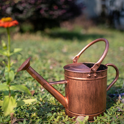 1 Gallon Red Metal Watering Can, Removable Spout