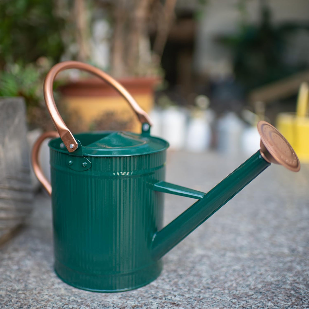 1 Gallon Red Metal Watering Can, Removable Spout