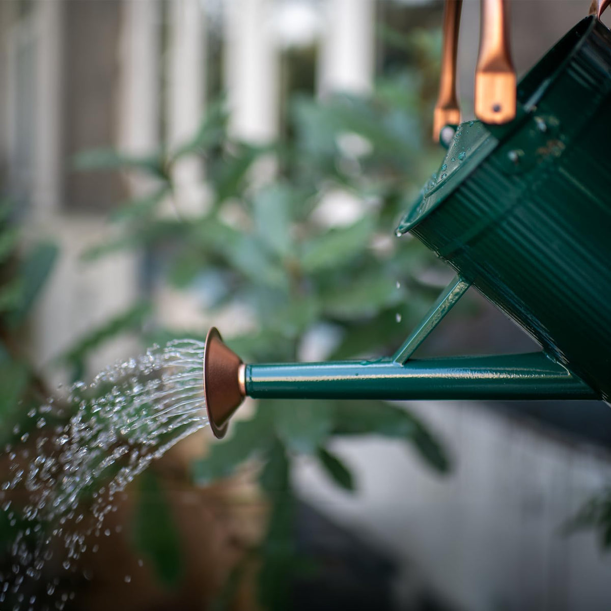 1 Gallon Red Metal Watering Can, Removable Spout
