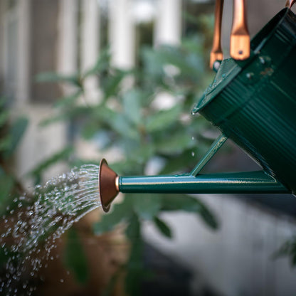 1 Gallon Red Metal Watering Can, Removable Spout