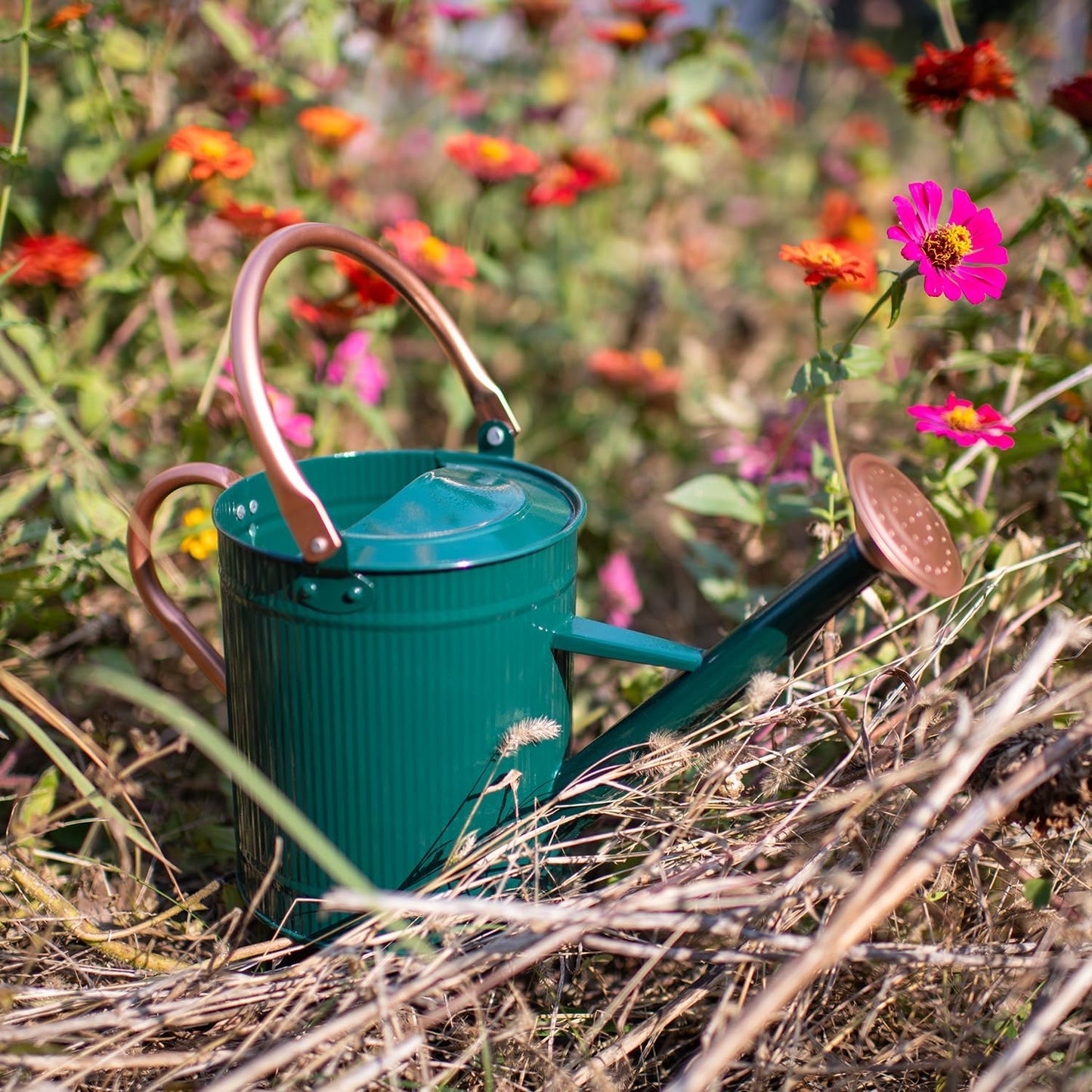 1 Gallon Red Metal Watering Can, Removable Spout