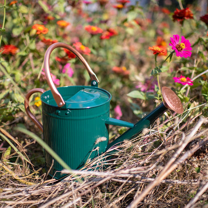 1 Gallon Red Metal Watering Can, Removable Spout
