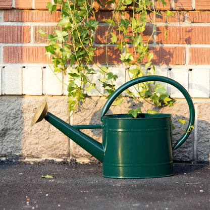 1 Gallon Red Metal Watering Can, Removable Spout