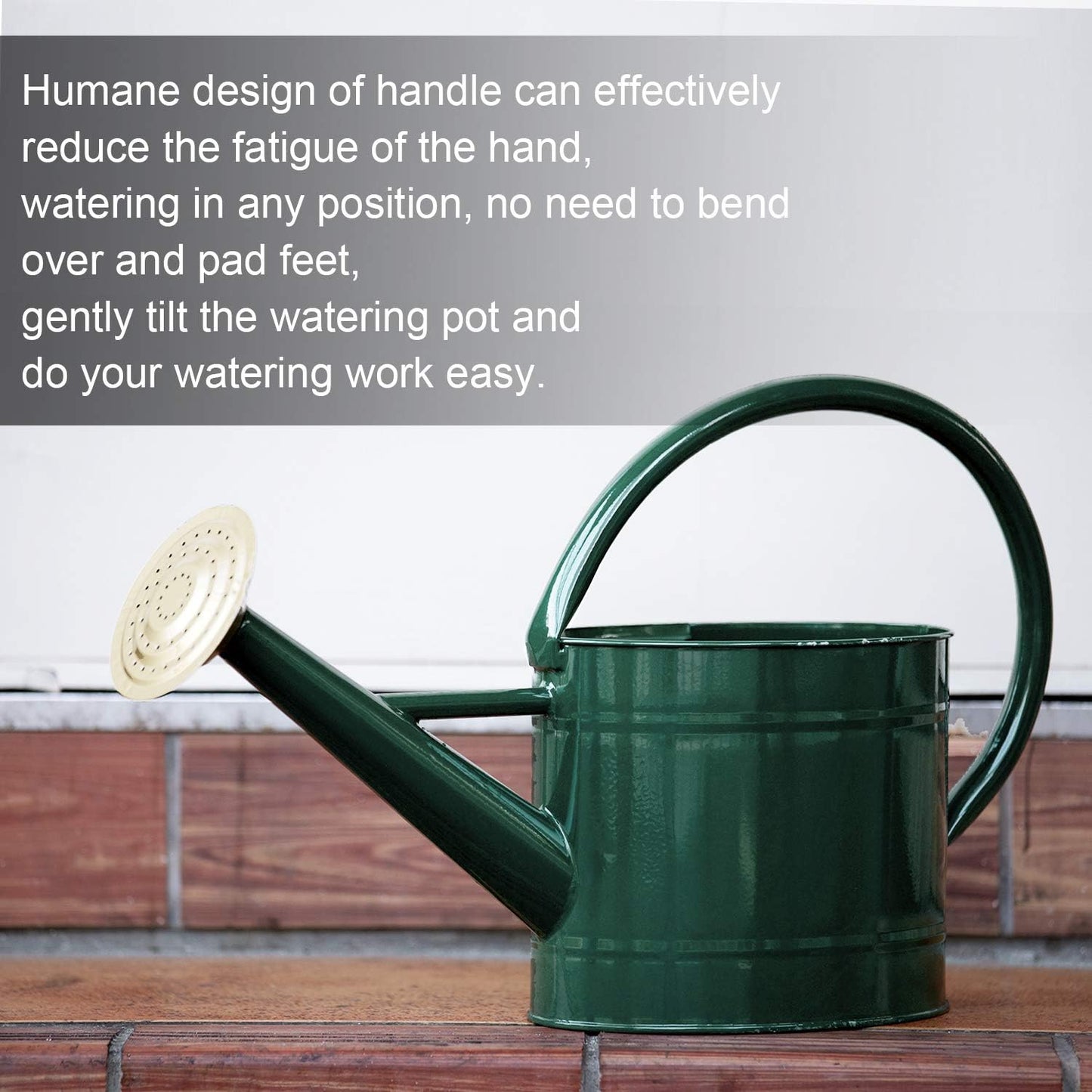 1 Gallon Red Metal Watering Can, Removable Spout
