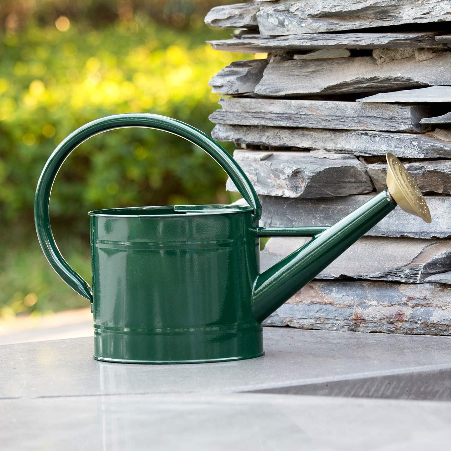 1 Gallon Red Metal Watering Can, Removable Spout