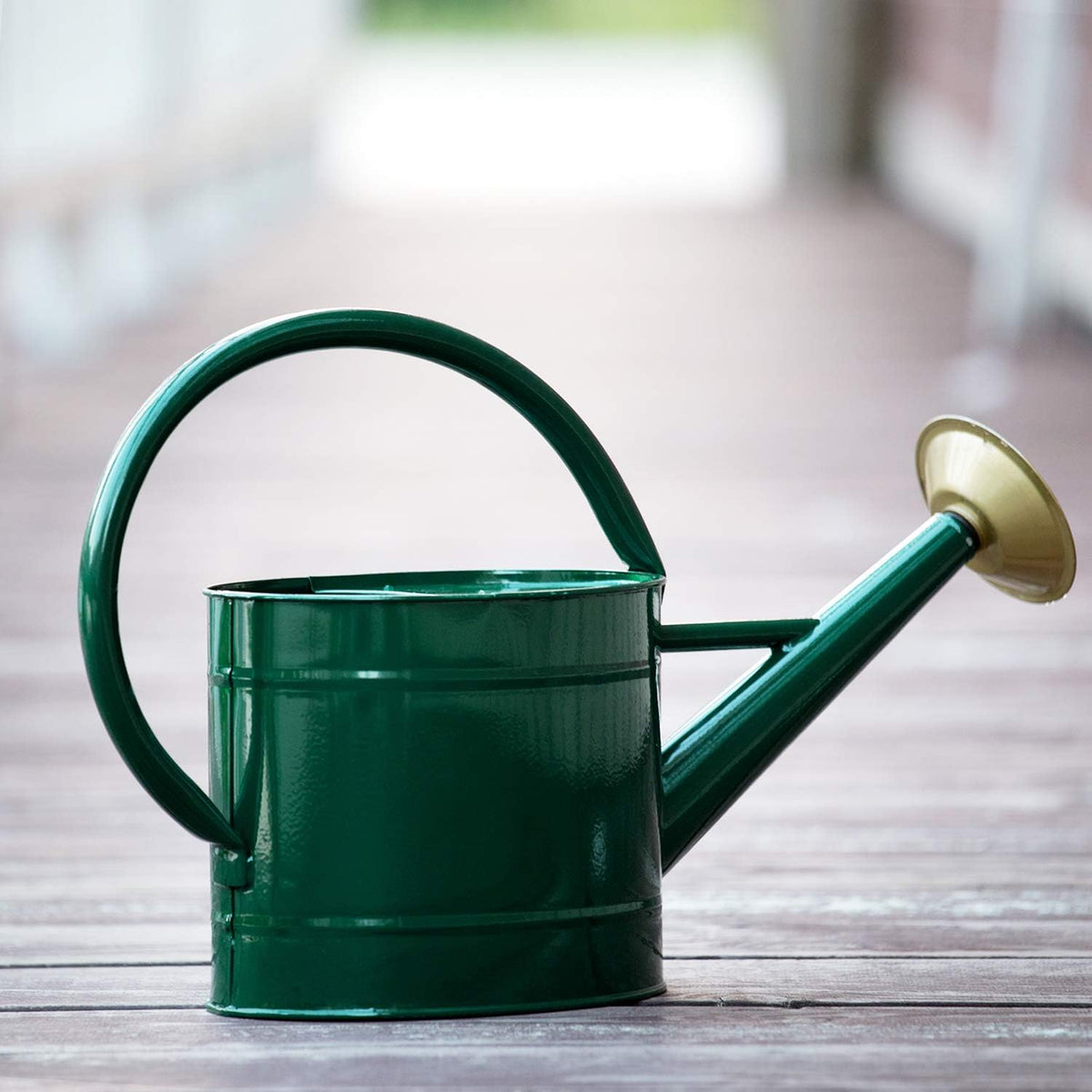 1 Gallon Red Metal Watering Can, Removable Spout