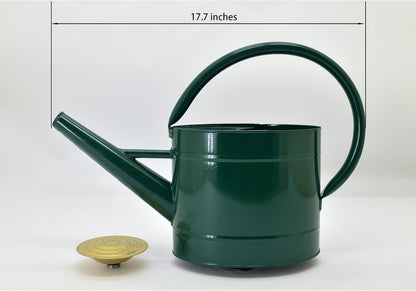 1 Gallon Red Metal Watering Can, Removable Spout