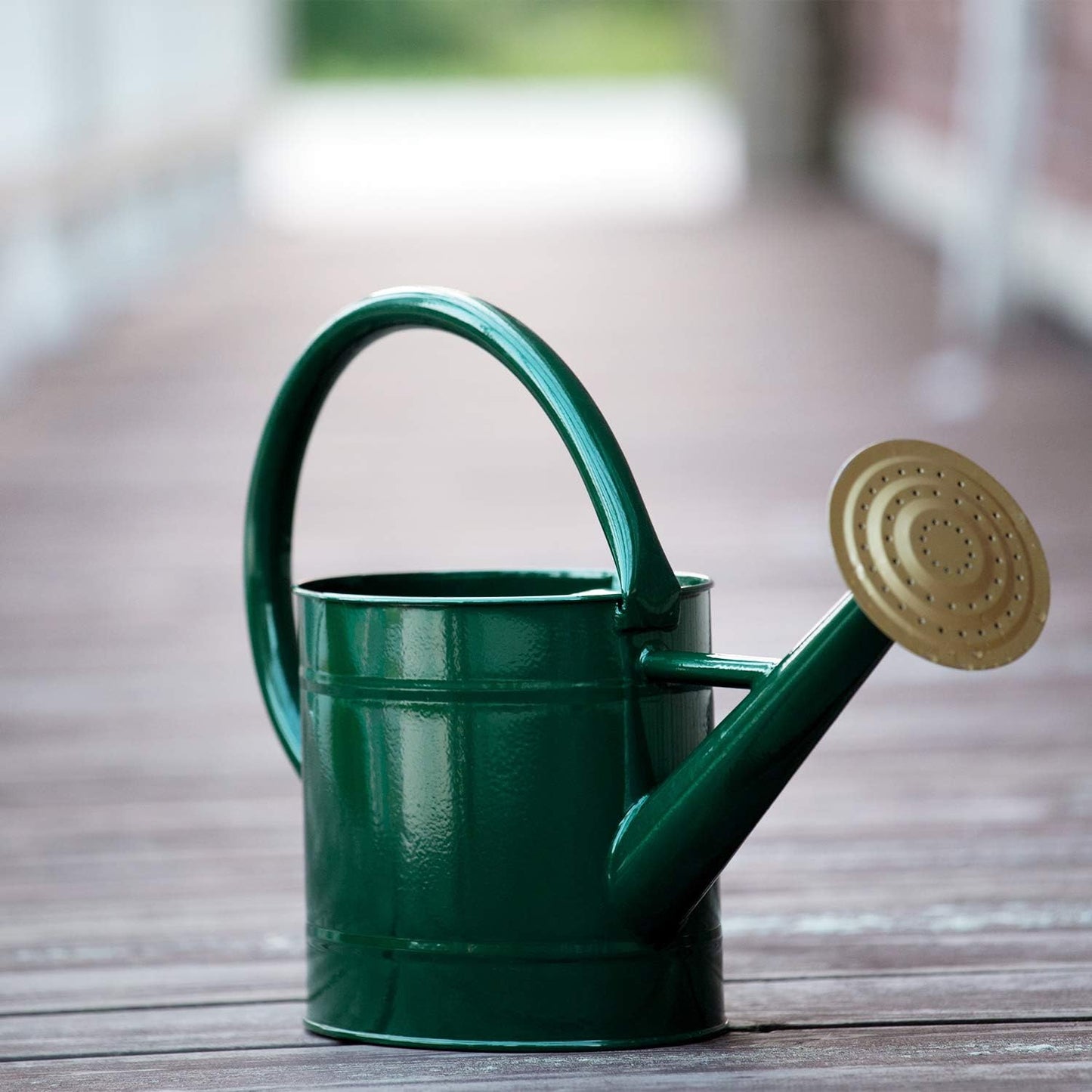 1 Gallon Red Metal Watering Can, Removable Spout