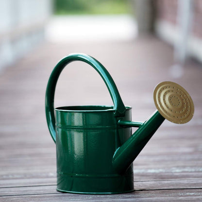 1 Gallon Red Metal Watering Can, Removable Spout
