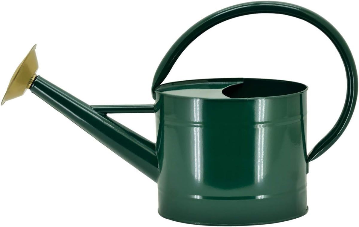 1 Gallon Red Metal Watering Can, Removable Spout