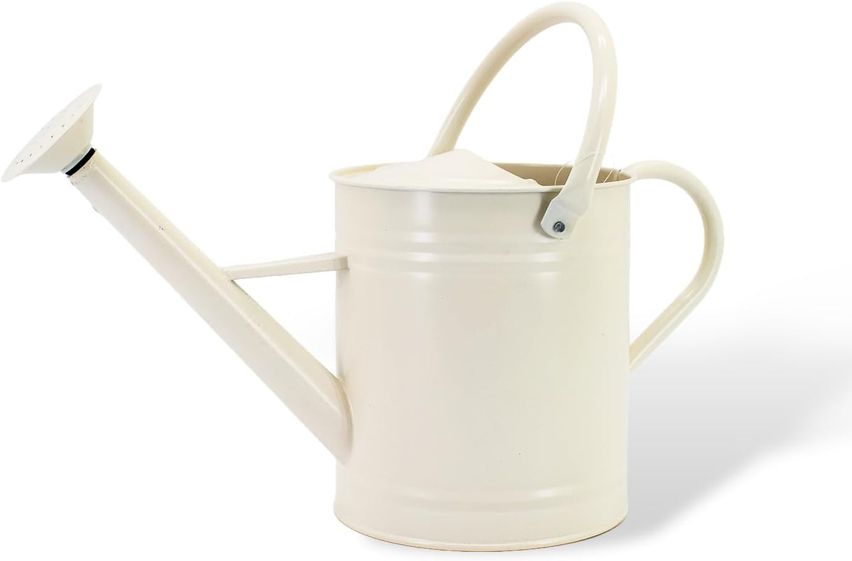 1 Gallon Red Metal Watering Can, Removable Spout
