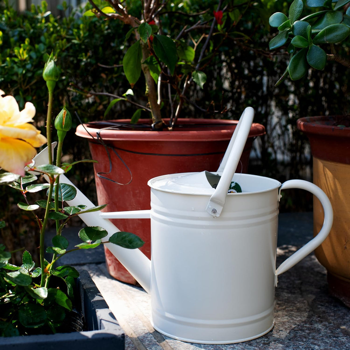 1 Gallon Red Metal Watering Can, Removable Spout