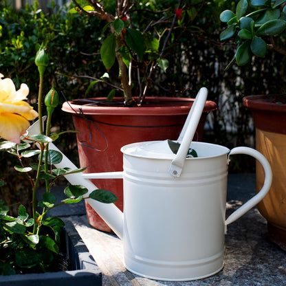 1 Gallon Red Metal Watering Can, Removable Spout