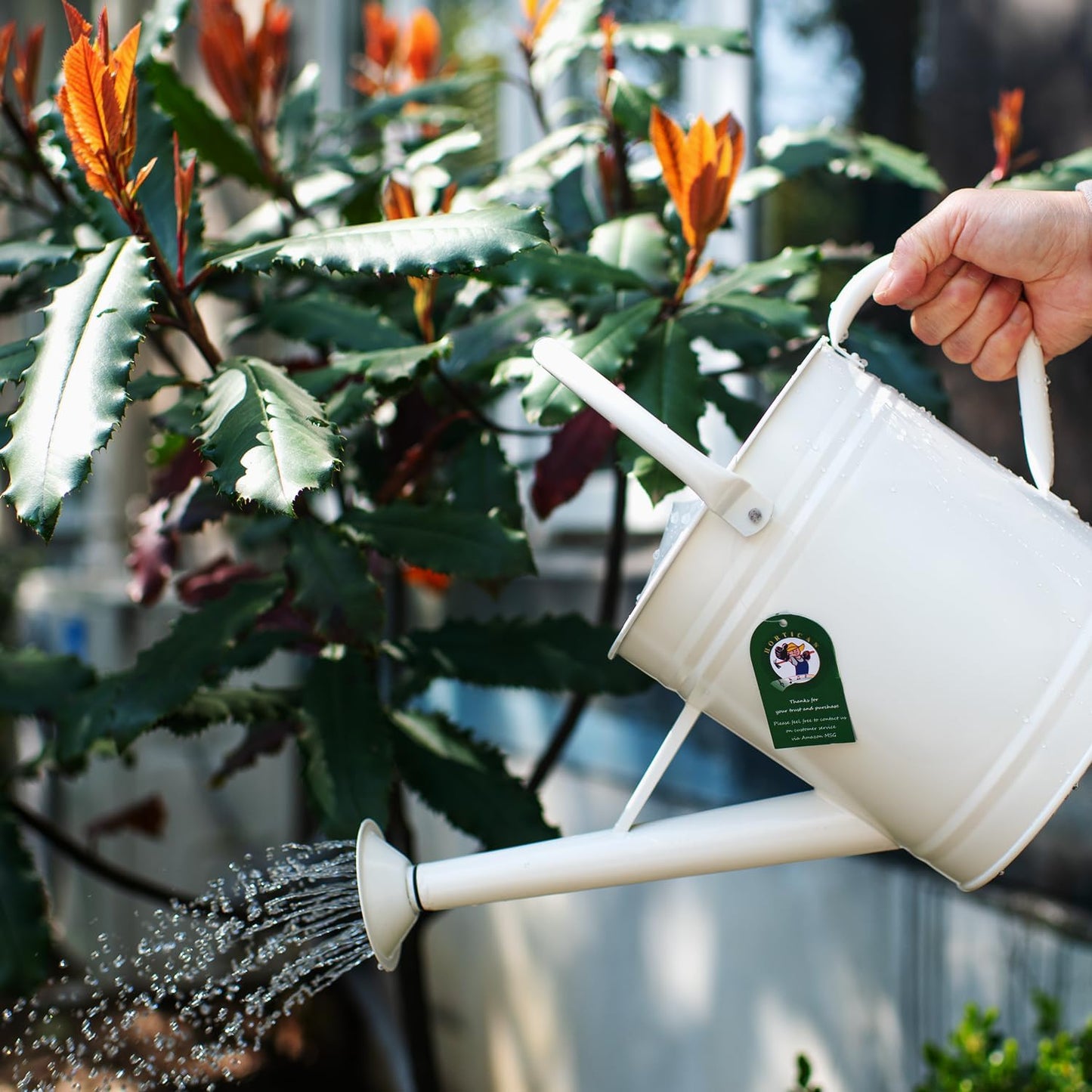1 Gallon Red Metal Watering Can, Removable Spout