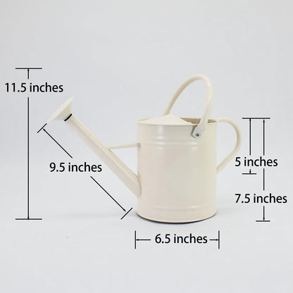 1 Gallon Red Metal Watering Can, Removable Spout
