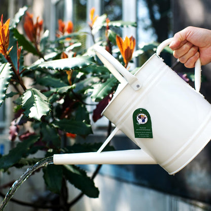 1 Gallon Red Metal Watering Can, Removable Spout