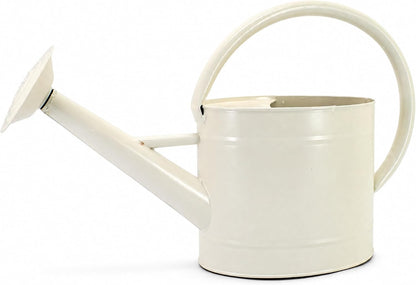 1 Gallon Red Metal Watering Can, Removable Spout