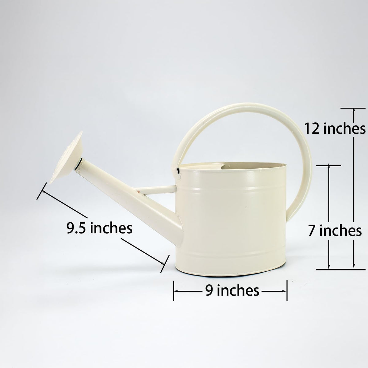 1 Gallon Red Metal Watering Can, Removable Spout