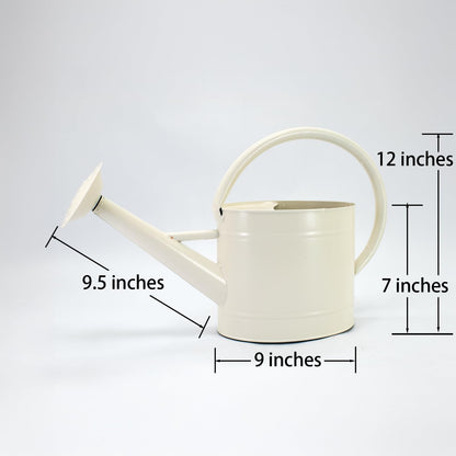 1 Gallon Red Metal Watering Can, Removable Spout