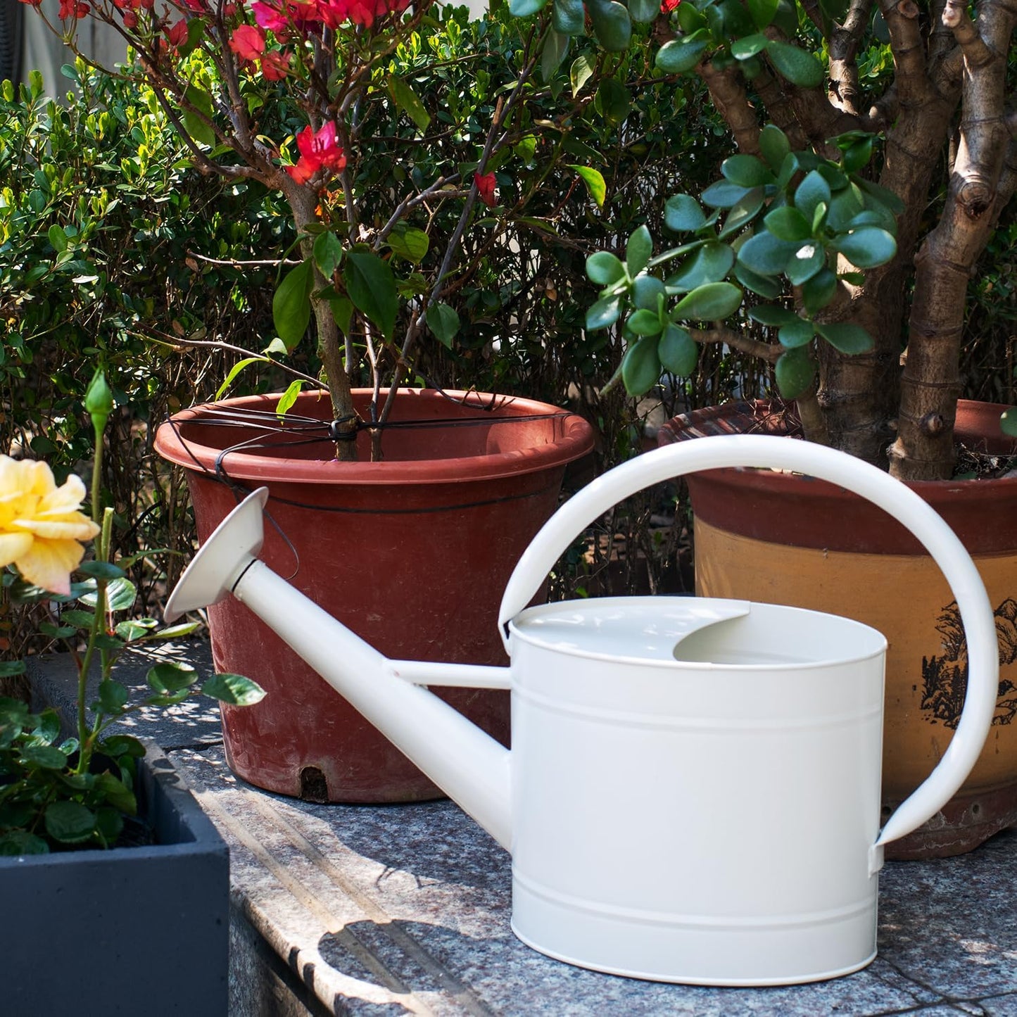 1 Gallon Red Metal Watering Can, Removable Spout