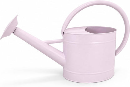 1 Gallon Red Metal Watering Can, Removable Spout
