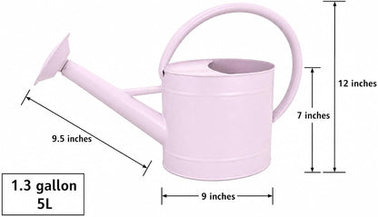 1 Gallon Red Metal Watering Can, Removable Spout