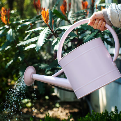 1 Gallon Red Metal Watering Can, Removable Spout
