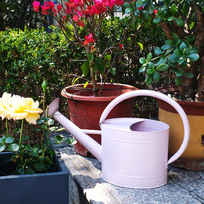 1 Gallon Red Metal Watering Can, Removable Spout