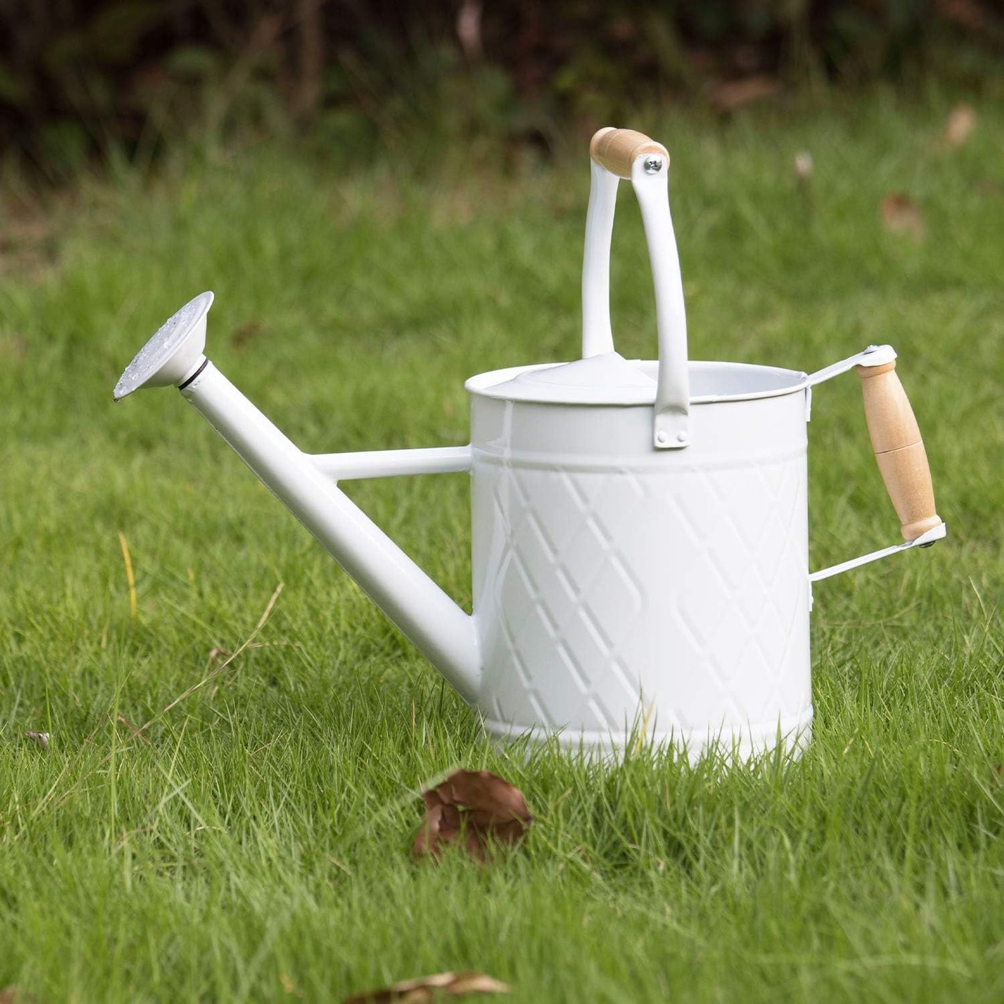 1 Gallon Red Metal Watering Can, Removable Spout