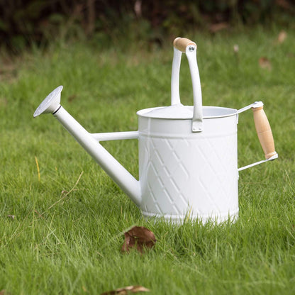 1 Gallon Red Metal Watering Can, Removable Spout