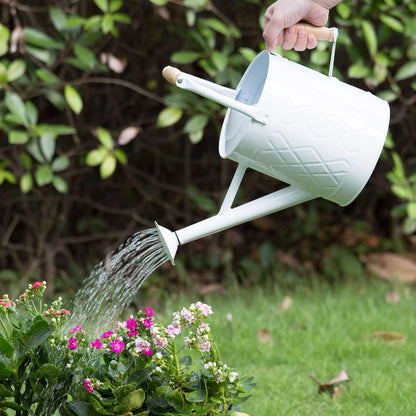 1 Gallon Red Metal Watering Can, Removable Spout