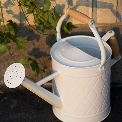 1 Gallon Red Metal Watering Can, Removable Spout