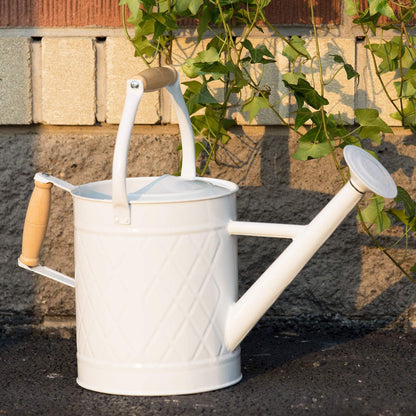1 Gallon Red Metal Watering Can, Removable Spout