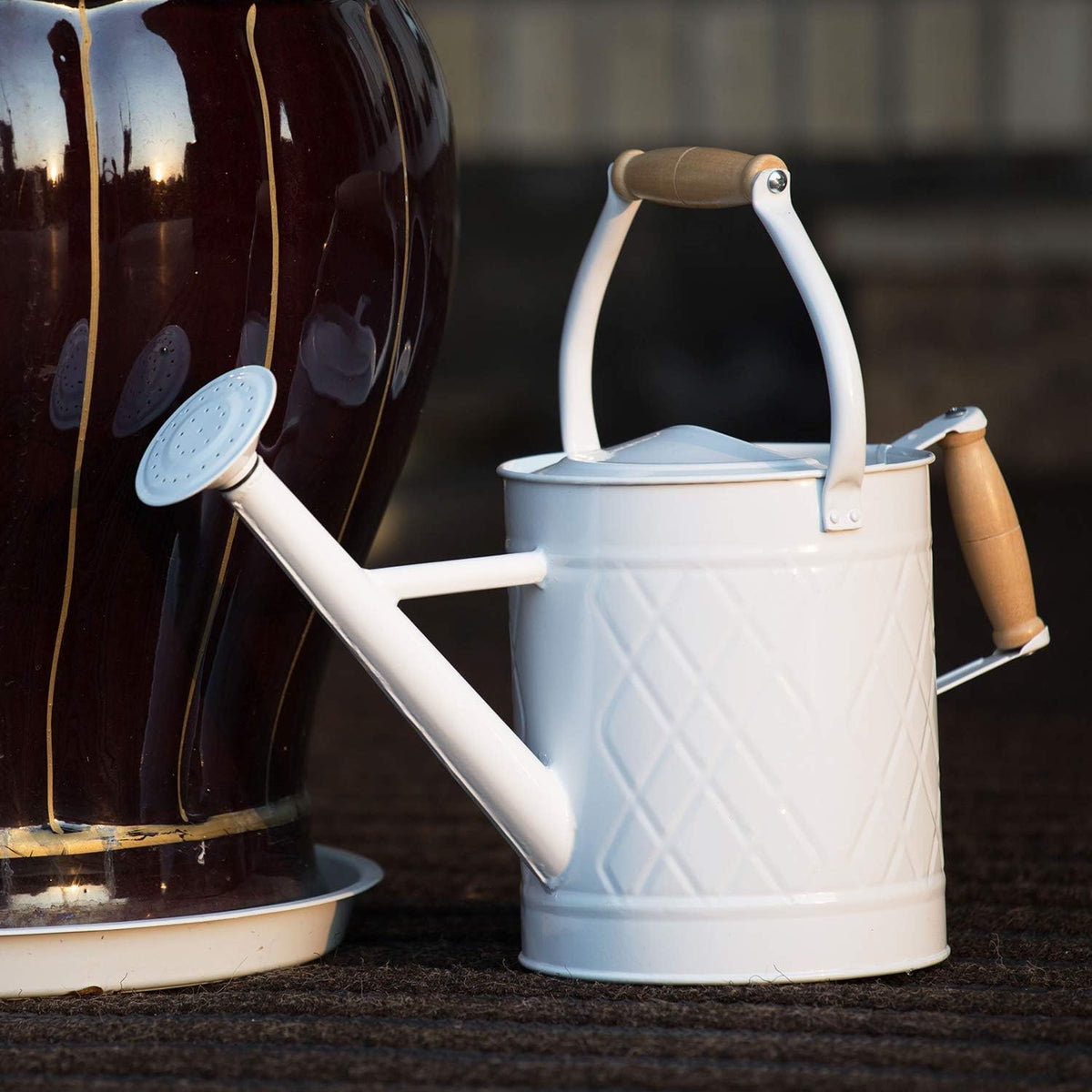 1 Gallon Red Metal Watering Can, Removable Spout